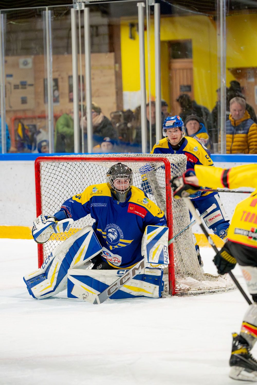 Janis Chatelain in der Butterfly-Position, EHC Kandersteg